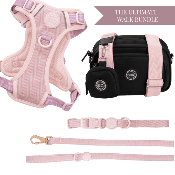 Lavender Tweed Adjustable Dog Harness, Lead, Collar & Dog Walking Bag Bundle - Bailey and Coco (UK)