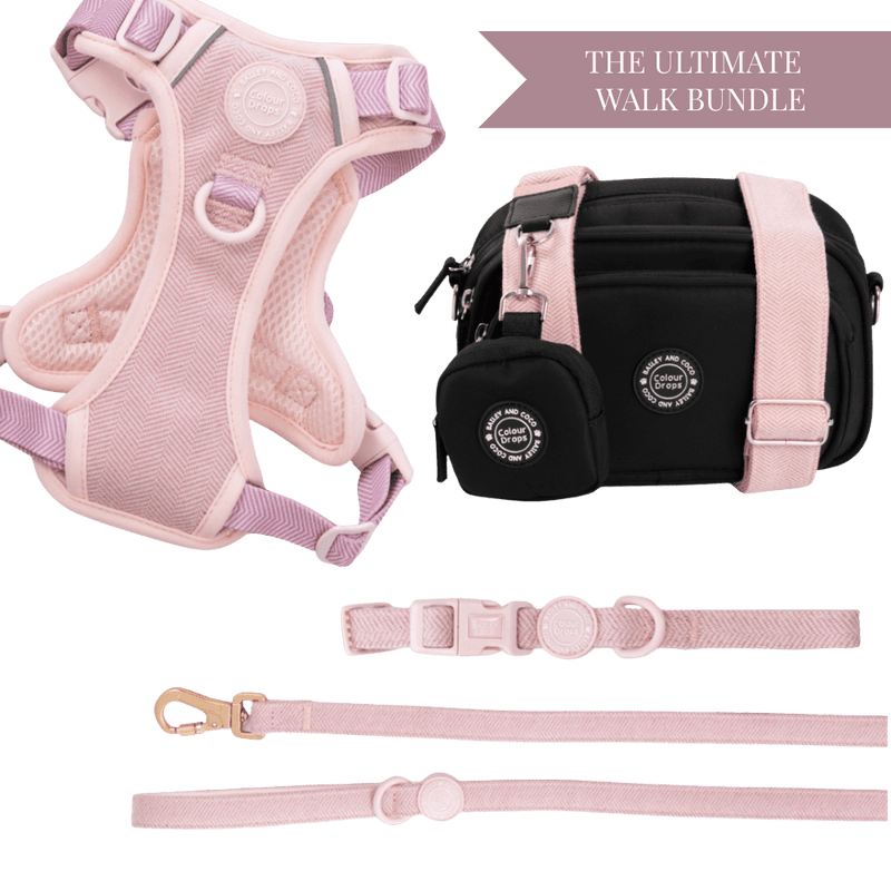 Lavender Tweed Adjustable Dog Harness, Lead, Collar & Dog Walking Bag Bundle - Bailey and Coco (UK)