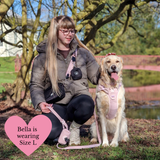 Lavender Tweed Adjustable Dog Harness, Lead, Collar & Dog Walking Bag Bundle - Bailey and Coco (UK)