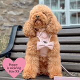 Lavender Tweed Adjustable Dog Harness, Lead, Collar & Latte Dog Walking Bag Bundle - Bailey and Coco (UK)