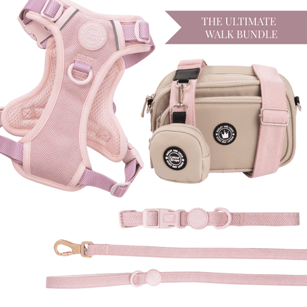 Lavender Tweed Adjustable Dog Harness, Lead, Collar & Latte Dog Walking Bag Bundle