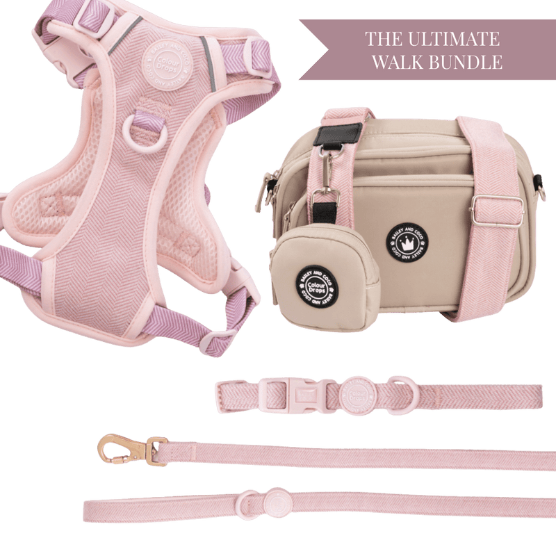 Lavender Tweed Adjustable Dog Harness, Lead, Collar & Latte Dog Walking Bag Bundle - Bailey and Coco (UK)