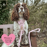 Lavender Tweed Adjustable Dog Harness, Lead, Collar & Latte Dog Walking Bag Bundle - Bailey and Coco (UK)