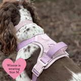 Lavender Tweed Adjustable Dog Harness, Lead, Collar & Latte Dog Walking Bag Bundle - Bailey and Coco (UK)