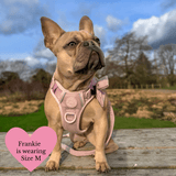 Lavender Tweed Adjustable Dog Harness, Lead, Collar & Latte Dog Walking Bag Bundle - Bailey and Coco (UK)