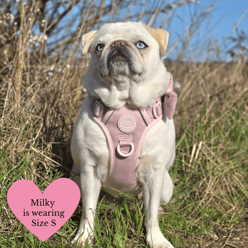 Lavender Tweed Adjustable Dog Harness, Lead, Collar & Latte Dog Walking Bag Bundle - Bailey and Coco (UK)