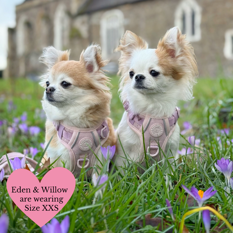 Lavender Tweed Adjustable Dog Harness, Lead, Collar & Latte Dog Walking Bag Bundle - Bailey and Coco (UK)