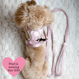 Lavender Tweed Adjustable Dog Harness, Lead, Collar & Latte Dog Walking Bag Bundle - Bailey and Coco (UK)