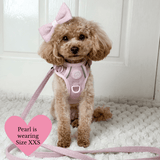 Lavender Tweed Adjustable Dog Harness, Lead, Collar & Latte Dog Walking Bag Bundle - Bailey and Coco (UK)