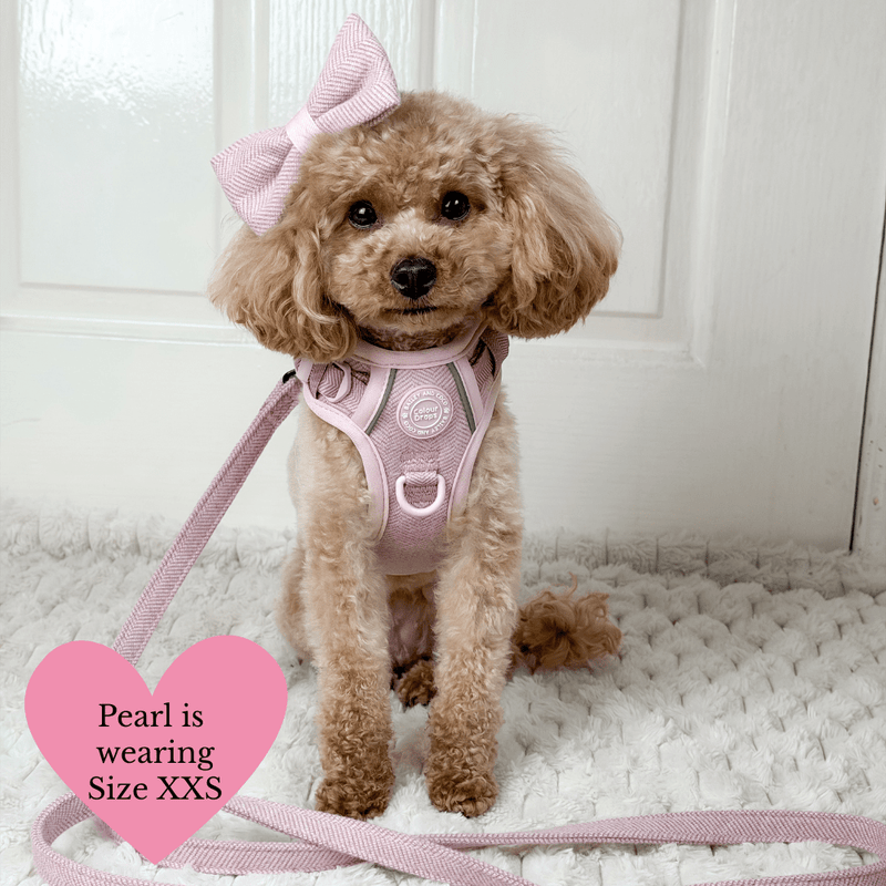 Lavender Tweed Adjustable Dog Harness, Lead, Collar & Latte Dog Walking Bag Bundle - Bailey and Coco (UK)