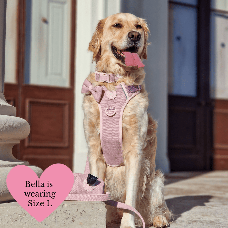 Lavender Tweed Adjustable Dog Harness, Lead, Collar & Latte Dog Walking Bag Bundle - Bailey and Coco (UK)