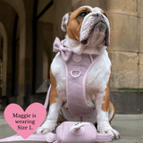 Lavender Tweed Adjustable Dog Harness, Lead, Collar & Latte Dog Walking Bag Bundle - Bailey and Coco (UK)