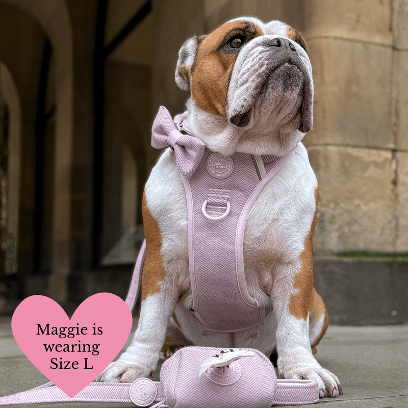 Lavender Tweed Adjustable Dog Harness, Lead, Collar & Latte Dog Walking Bag Bundle - Bailey and Coco (UK)
