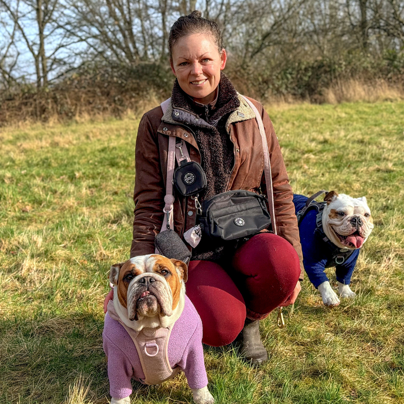 Lavender Tweed - Colour Drops - Adjustable Dog Harness, Lead, Collar & Mini Black Dog Walking Bag Bundle - Bailey and Coco (UK)