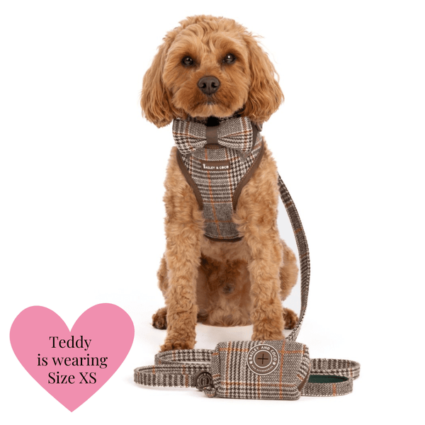 Adjustable Dog Harness Bundle Set - Heritage Plaid - alternate view