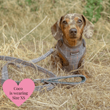 Lightweight Mini Dog Lead 5ft - Colour Drops - Heritage Plaid - Bailey and Coco (UK)