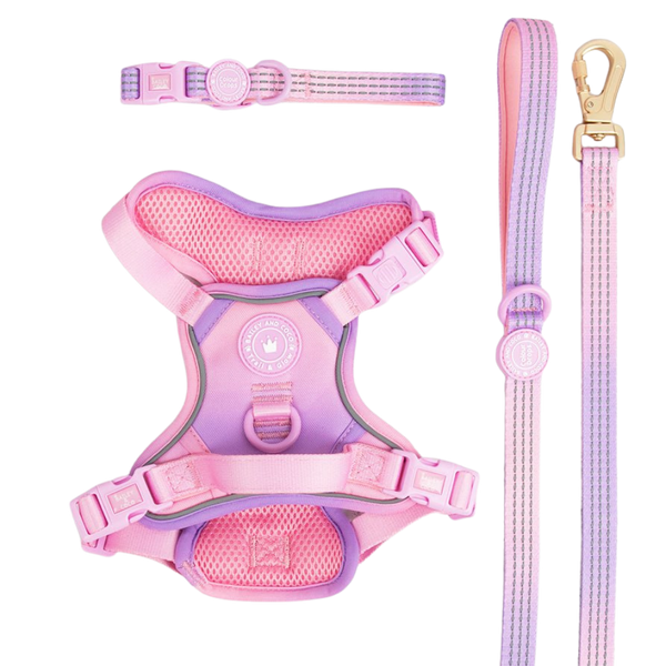 Love That For You Adjustable Dog Harness, Lead & Collar Bundle - Bailey and Coco (UK)