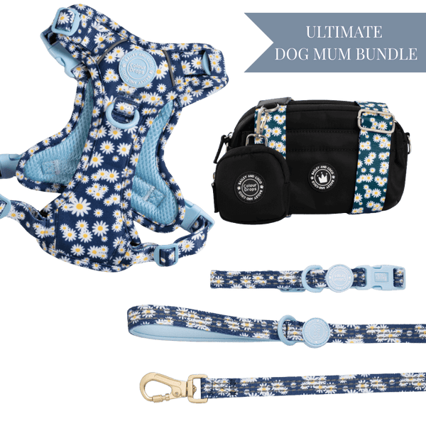 Loves me, Loves me not - Colour Drops - Adjustable Dog Harness, Lead, Collar & Mini Black Dog Walking Bag Bundle - Bailey and Coco (UK)