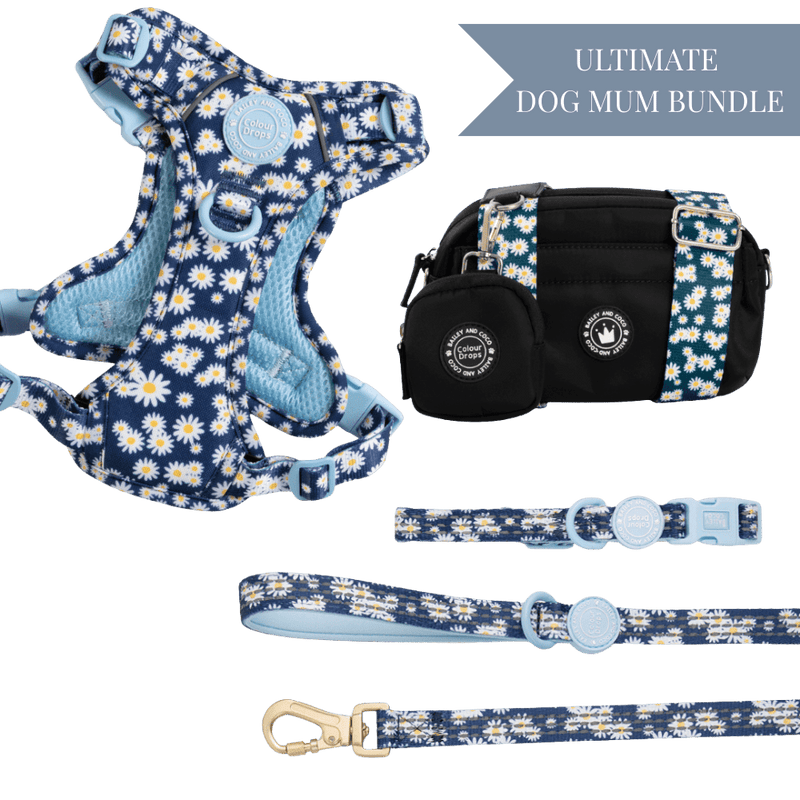 Loves me, Loves me not - Colour Drops - Adjustable Dog Harness, Lead, Collar & Mini Black Dog Walking Bag Bundle - Bailey and Coco (UK)