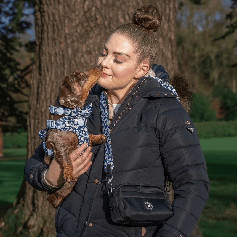 Loves me, Loves me not - Colour Drops - Adjustable Dog Harness, Lead, Collar & Mini Black Dog Walking Bag Bundle - Bailey and Coco (UK)