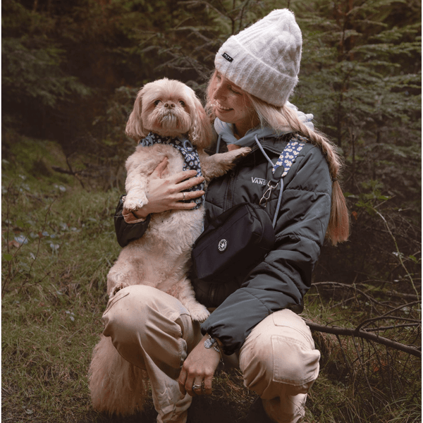 Loves me, Loves me not - Colour Drops - Adjustable Dog Harness, Lead, Collar & Mini Black Dog Walking Bag Bundle - alternate view