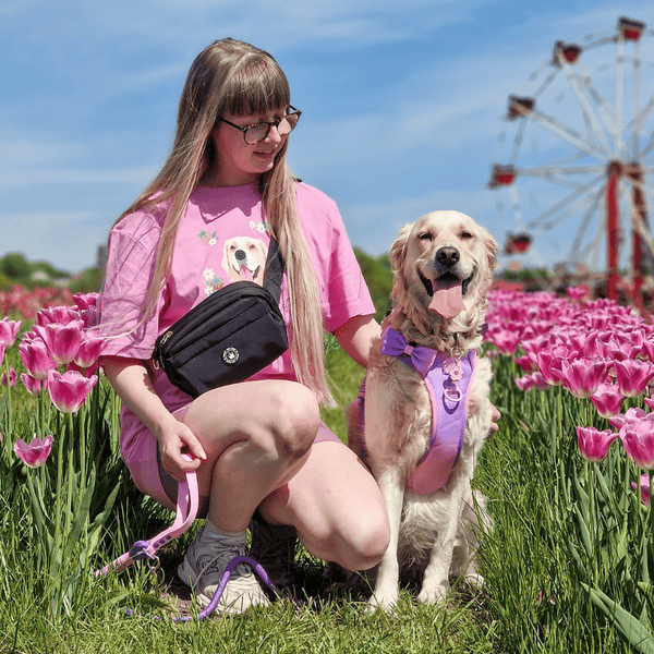 Magnetic Snap Dog Walking Bum Bag - Black - alternate view