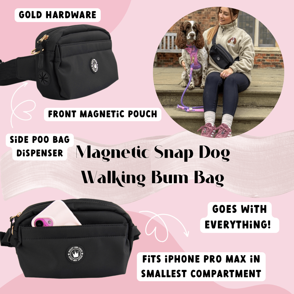 Magnetic Snap Dog Walking Bum Bag - Black - Bailey and Coco (UK)