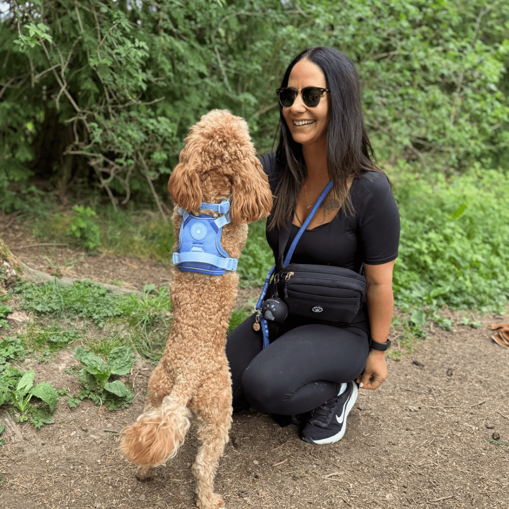 Magnetic Snap Dog Walking Bum Bag - Black - Bailey and Coco (UK)