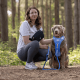 Magnetic Snap Dog Walking Bum Bag - Black - Bailey and Coco (UK)