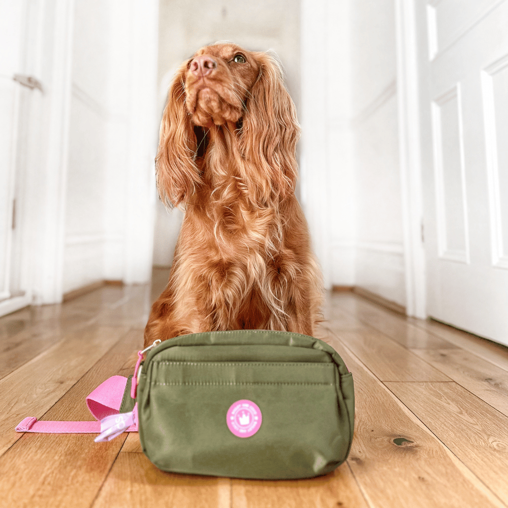 Magnetic Snap Dog Walking Bum Bag - Olive it Hot - Bailey and Coco (UK)
