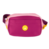 Magnetic Snap Dog Walking Bum Bag - We're Jammin' - Bailey and Coco (UK)