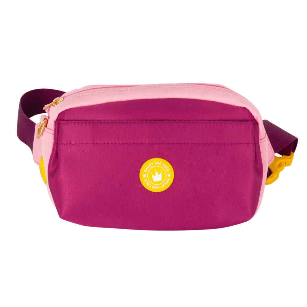Magnetic Snap Dog Walking Bum Bag - We're Jammin' – Bailey and