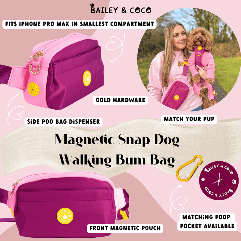Magnetic Snap Dog Walking Bum Bag - We're Jammin' – Bailey and