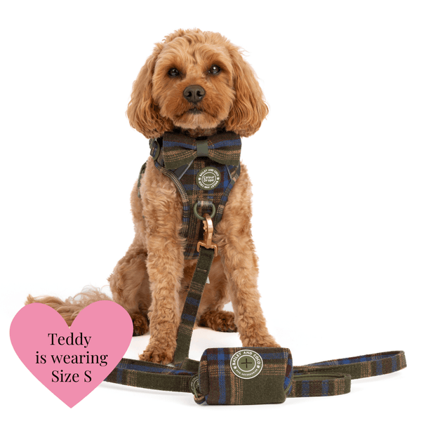 Mayfair Tweed Adjustable Dog Harness, Lead, Collar & Latte Dog Walking Bag Bundle - Bailey and Coco (UK)