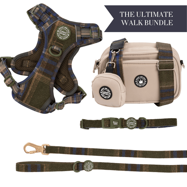 Mayfair Tweed Adjustable Dog Harness, Lead, Collar & Latte Dog Walking Bag Bundle - Bailey and Coco (UK)
