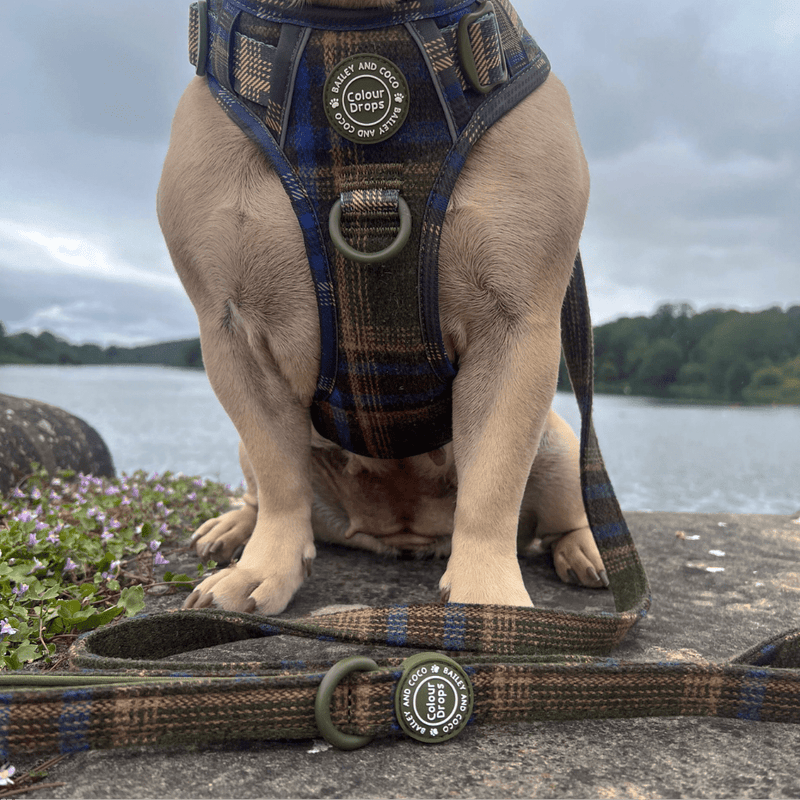Mayfair Tweed Adjustable Dog Harness, Lead, Collar & Latte Dog Walking Bag Bundle - Bailey and Coco (UK)