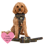 Mayfair Tweed - Colour Drops - Adjustable Dog Harness, Lead, Collar & Mini Black Dog Walking Bag Bundle - Bailey and Coco (UK)