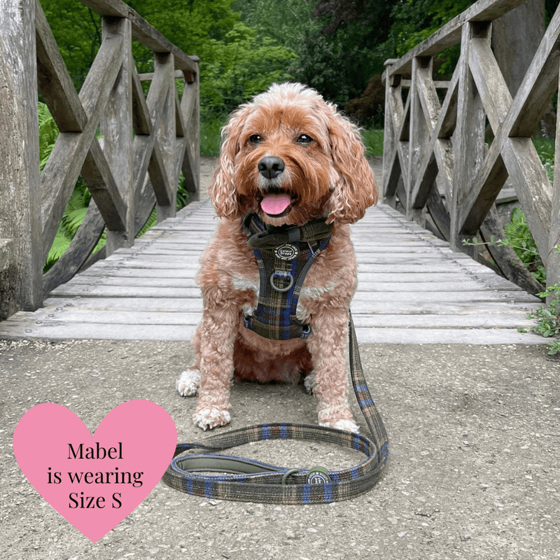 Mayfair Tweed - Colour Drops - Adjustable Dog Harness, Lead, Collar & Mini Black Dog Walking Bag Bundle - Bailey and Coco (UK)
