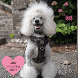 Mayfair Tweed - Colour Drops - Adjustable Dog Harness, Lead, Collar & Mini Black Dog Walking Bag Bundle - Bailey and Coco (UK)