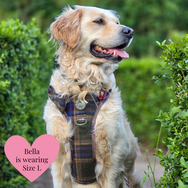 Mayfair Tweed - Colour Drops - Adjustable Dog Harness, Lead, Collar & Mini Black Dog Walking Bag Bundle - Bailey and Coco (UK)