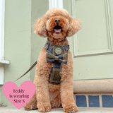 Mayfair Tweed - Colour Drops - Adjustable Dog Harness, Lead, Collar & Mini Black Dog Walking Bag Bundle - Bailey and Coco (UK)