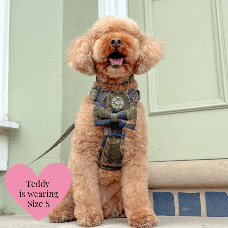 Mayfair Tweed - Colour Drops - Adjustable Dog Harness, Lead, Collar & Mini Black Dog Walking Bag Bundle - Bailey and Coco (UK)