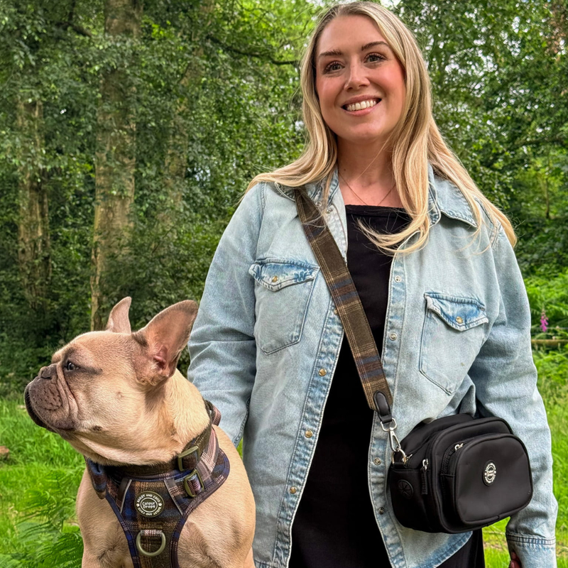 Mayfair Tweed - Colour Drops - Adjustable Dog Harness, Lead, Collar & Mini Black Dog Walking Bag Bundle - Bailey and Coco (UK)