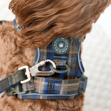 Mayfair Tweed - Colour Drops - Adjustable Dog Harness, Lead, Collar & Mini Black Dog Walking Bag Bundle - Bailey and Coco (UK)