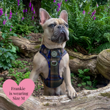 Mayfair Tweed - Colour Drops - Adjustable Dog Harness, Lead, Collar & Mini Black Dog Walking Bag Bundle - Bailey and Coco (UK)