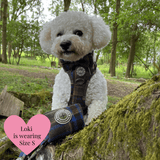Mayfair Tweed - Colour Drops - Adjustable Dog Harness, Lead, Collar & Mini Black Dog Walking Bag Bundle - Bailey and Coco (UK)