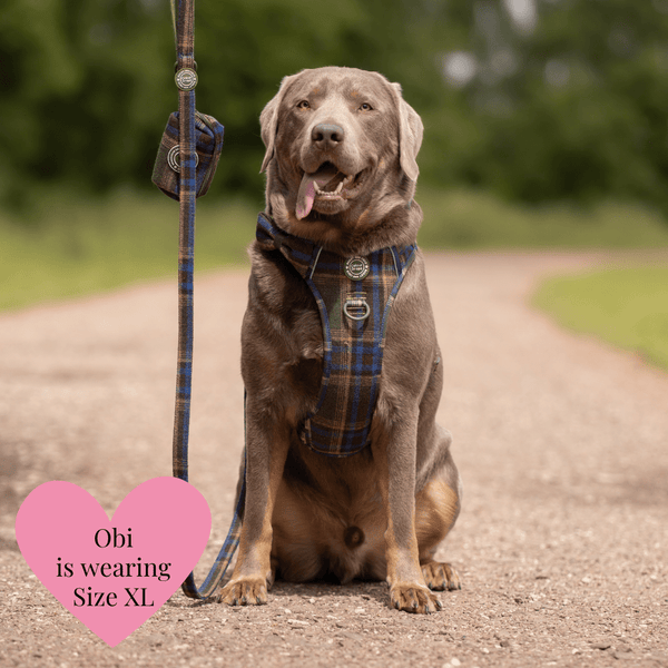 Mayfair Tweed - Colour Drops - Adjustable Dog Harness, Lead, Collar & Mini Black Dog Walking Bag Bundle - Bailey and Coco (UK)