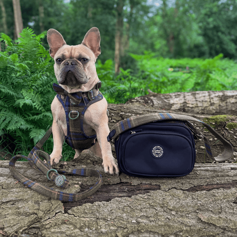 Mayfair Tweed - Colour Drops - Adjustable Dog Harness, Lead, Collar & Mini Black Dog Walking Bag Bundle - Bailey and Coco (UK)