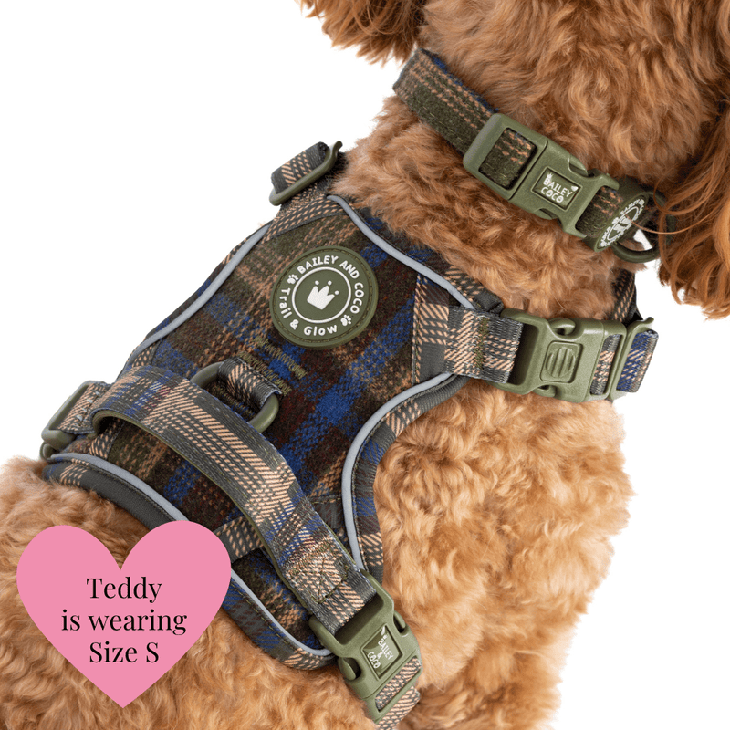 Mayfair Tweed - Colour Drops - Adjustable Dog Harness, Lead, Collar & Mini Black Dog Walking Bag Bundle - Bailey and Coco (UK)