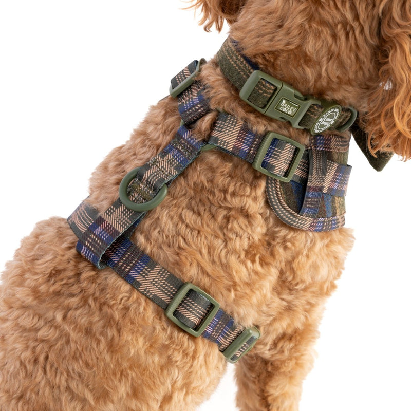Mayfair Tweed - Colour Drops - Lightweight & Adjustable Dog Harness, Lead, Collar & Dog Walking Bag Bundle Latte - Bailey and Coco (UK)